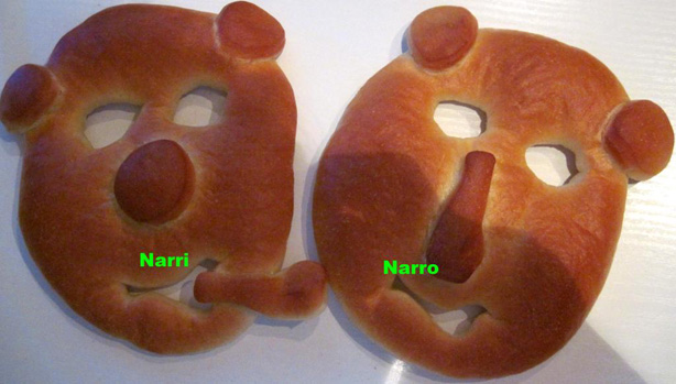 Narri Narro